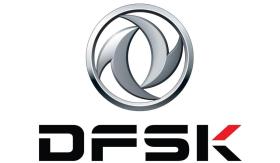 DSFK