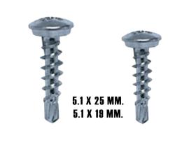 AutoRepair 8101 - Tornillo de matrícula 5.1 x 19 mm. 250 udn.