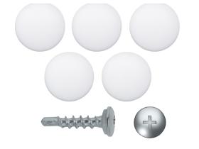 AutoRepair 8106 - Tapón de matrícula blanco 500 uds.