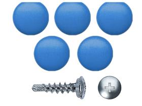AutoRepair 8108 - Tapón de matrícula azul 500 uds.