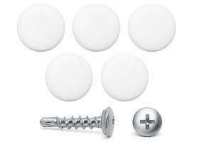 AutoRepair 8119 - Tapón Matrícula Blanco RAL 9010 500 U.